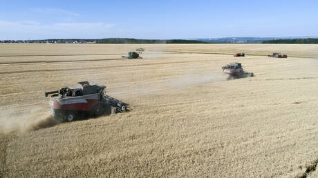 German Foreign Minister: There is no blockade of Russian grain

